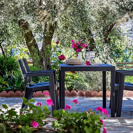 Marani Collection 斯科派洛斯