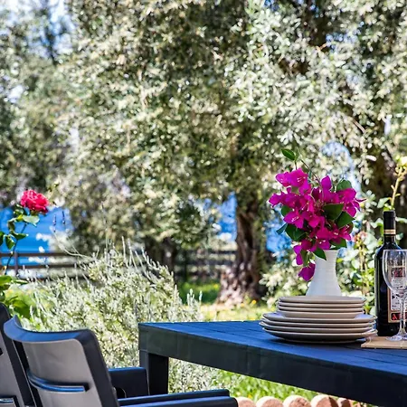 Marani Collection Skopelos